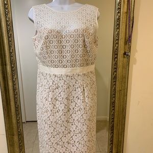 Party/Cocktail BCBG New Size10 Ivory Lace Dress